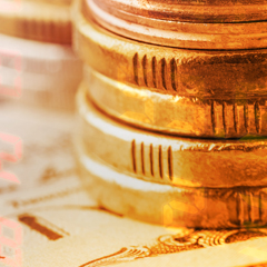 Taking the Precious Metal Plunge