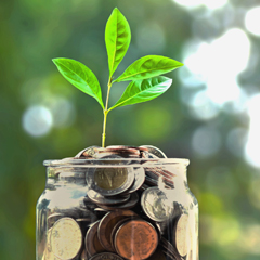 Investment Strategies to Consider as a Beginner
