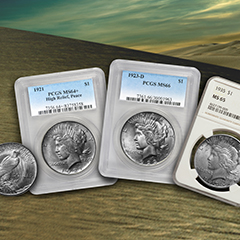 The Great War Silver Dollar